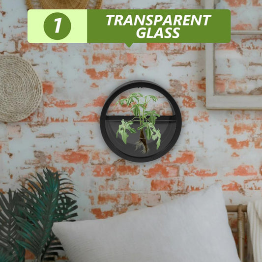 Moderne Wandvasen für Pflanzen - Runde Hängende Wandpflanzgefäße für Sukkulenten und Innenluftpflanzen in Schwarz