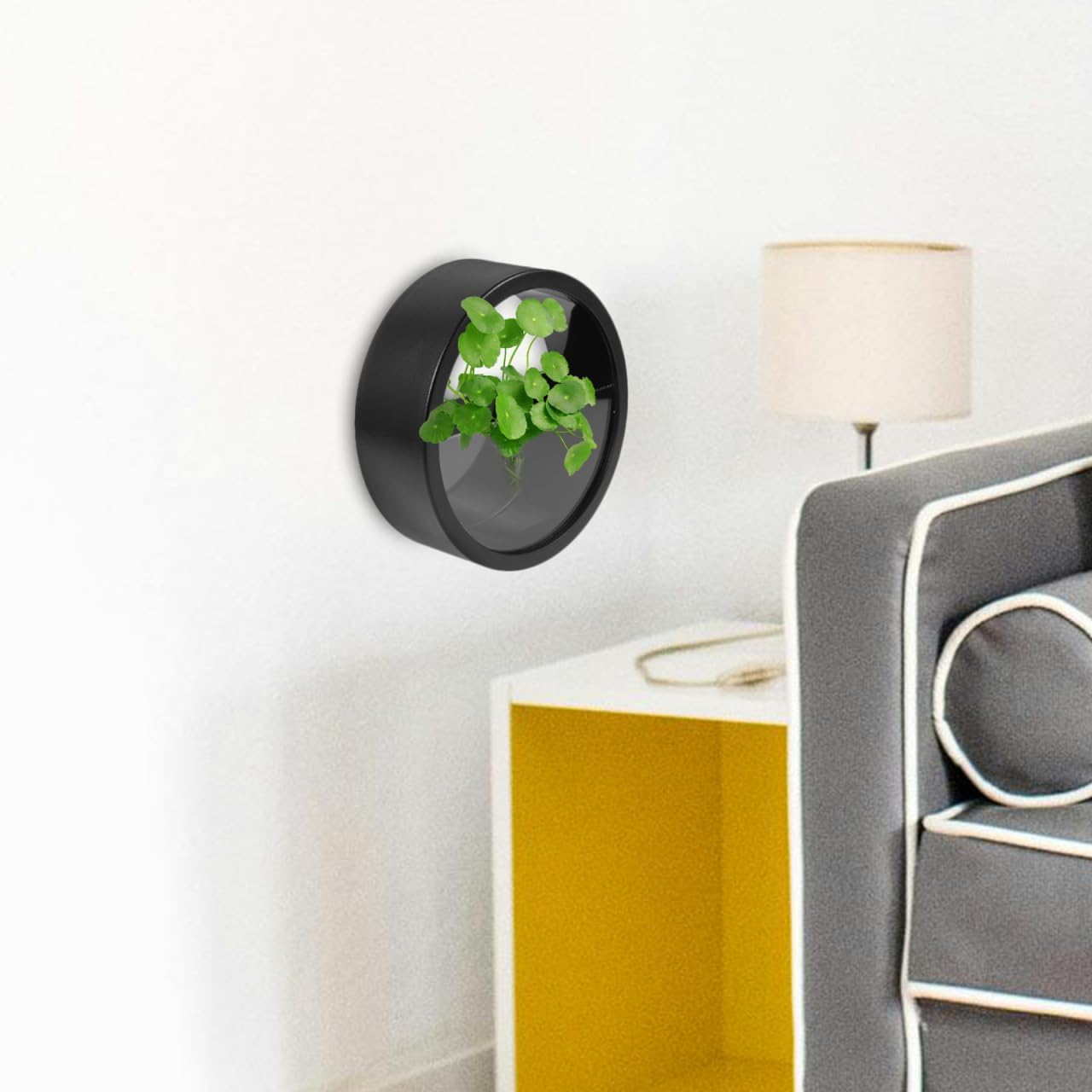 Moderne Wandvasen für Pflanzen - Runde Hängende Wandpflanzgefäße für Sukkulenten und Innenluftpflanzen in Schwarz