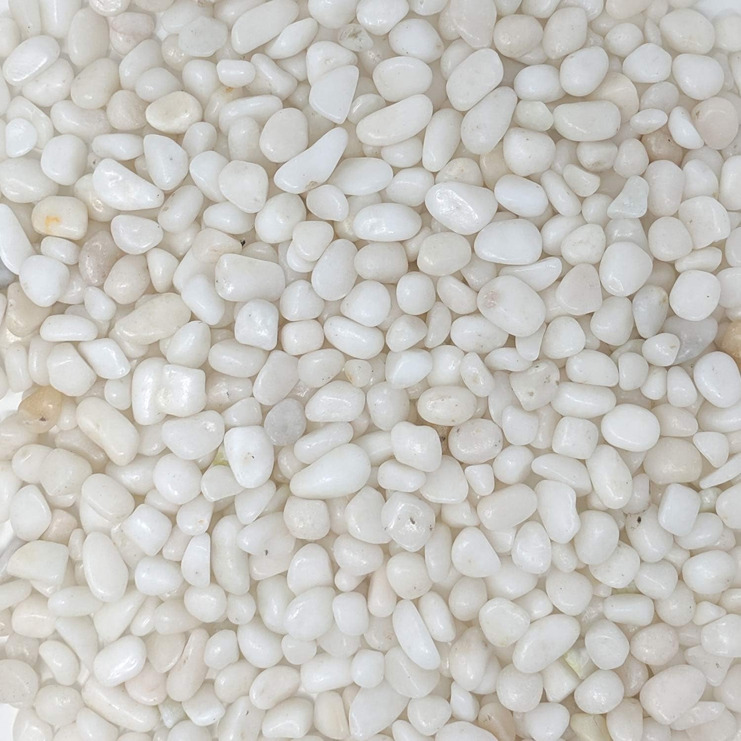 Elegant Polished White Pebbles - 2-Lb Bag of 3/8" Decorative Gravel