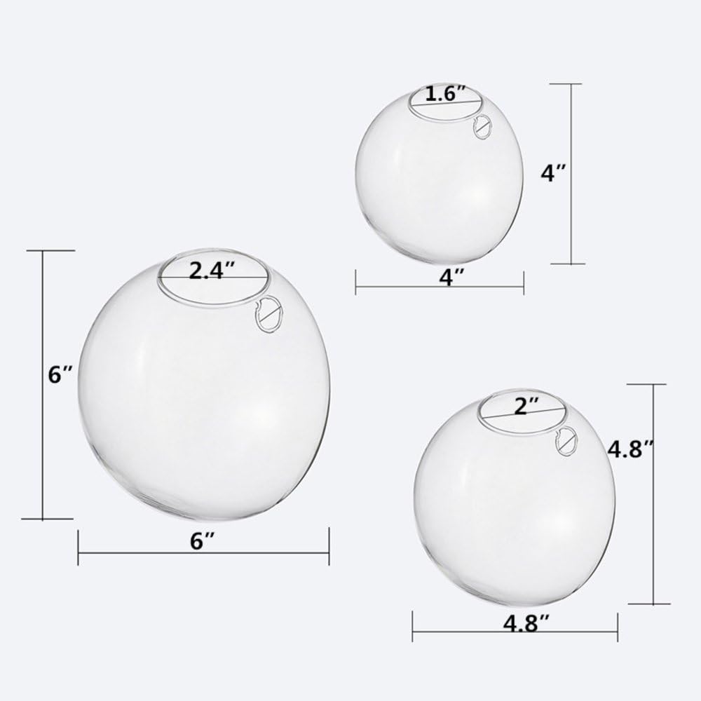 Set of 3 Wall-Mounted Terrariums for Indoor Plants - Mini Aquarium Wall Decor Planters