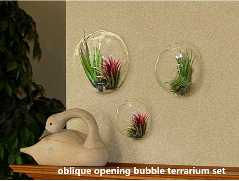 Set of 3 Wall-Mounted Terrariums for Indoor Plants - Mini Aquarium Wall Decor Planters