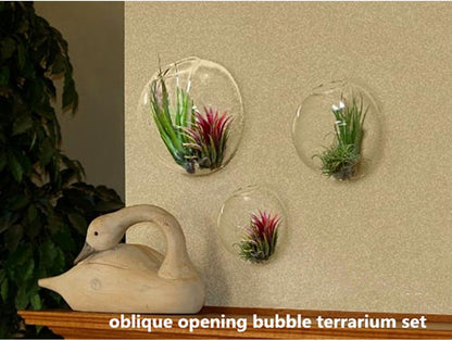Set of 3 Wall-Mounted Terrariums for Indoor Plants - Mini Aquarium Wall Decor Planters