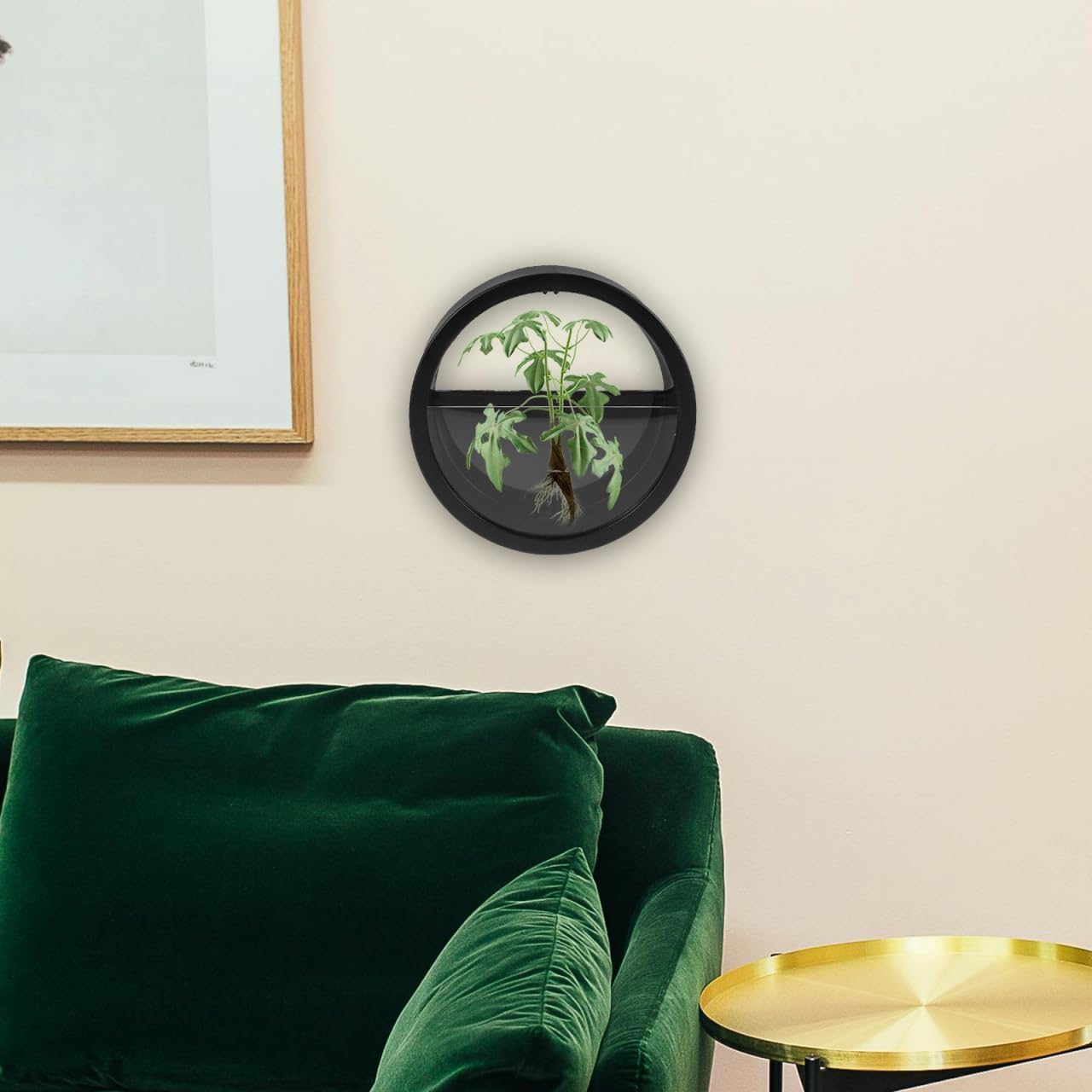 Moderne Wandvasen für Pflanzen - Runde Hängende Wandpflanzgefäße für Sukkulenten und Innenluftpflanzen in Schwarz