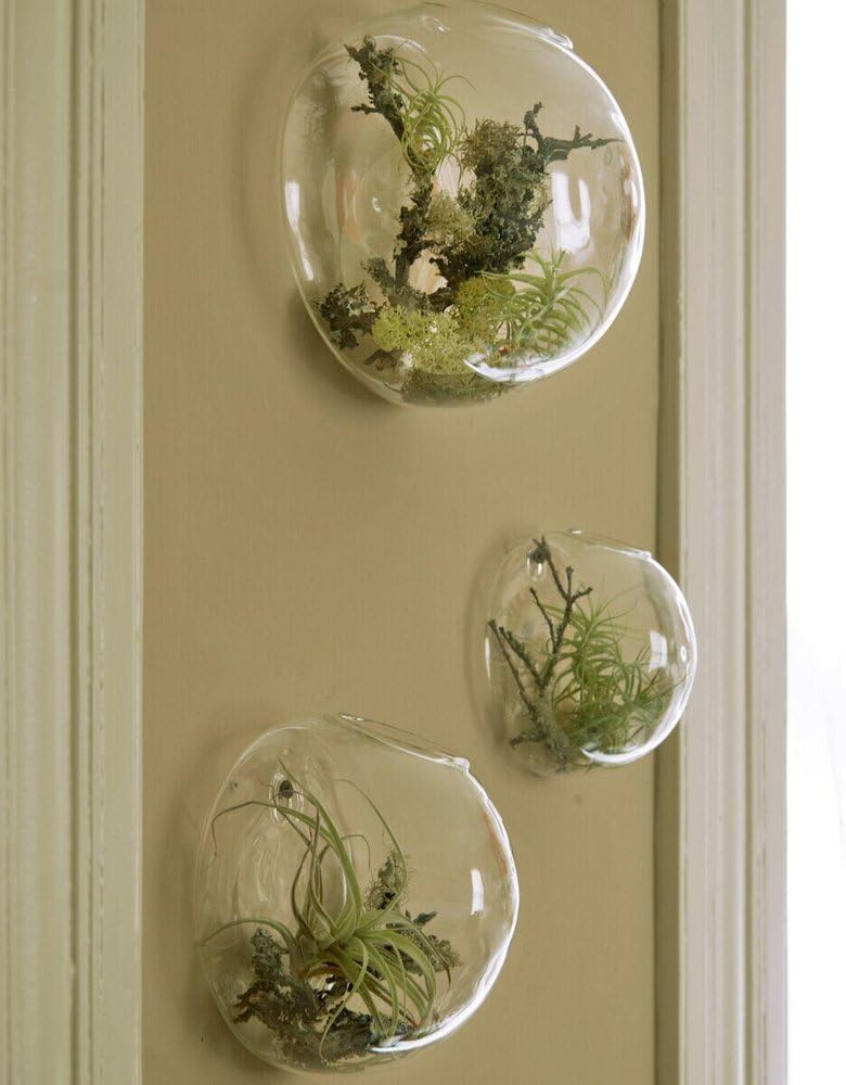 Set of 3 Wall-Mounted Terrariums for Indoor Plants - Mini Aquarium Wall Decor Planters
