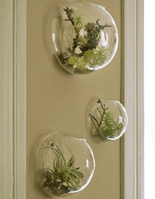 Set of 3 Wall-Mounted Terrariums for Indoor Plants - Mini Aquarium Wall Decor Planters