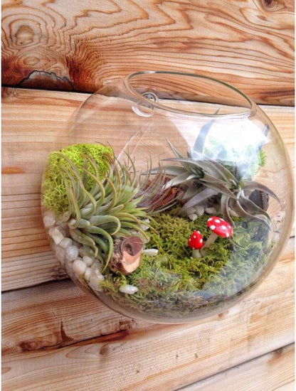 Set of 3 Wall-Mounted Terrariums for Indoor Plants - Mini Aquarium Wall Decor Planters