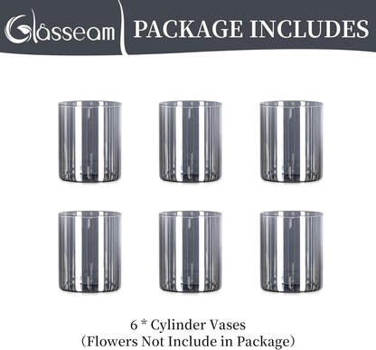 Glasseam Graue Glaszylinder Vasen für Tischdekoration: 6 Elegante Vasen für Wohnzimmer, Küche und Esstisch - Modernes Vasen-Set für Blumen, Tulpen und Rosen