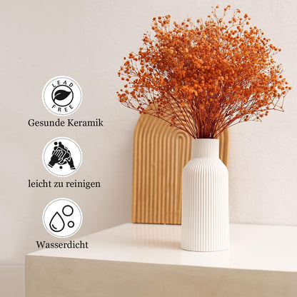 Keramikvase für Pampasgras, 20 cm, Matt Weiß, Rundes Modernes Design, Boho-Dekoration für Wohn- und Schlafzimmer im Nordic Stil