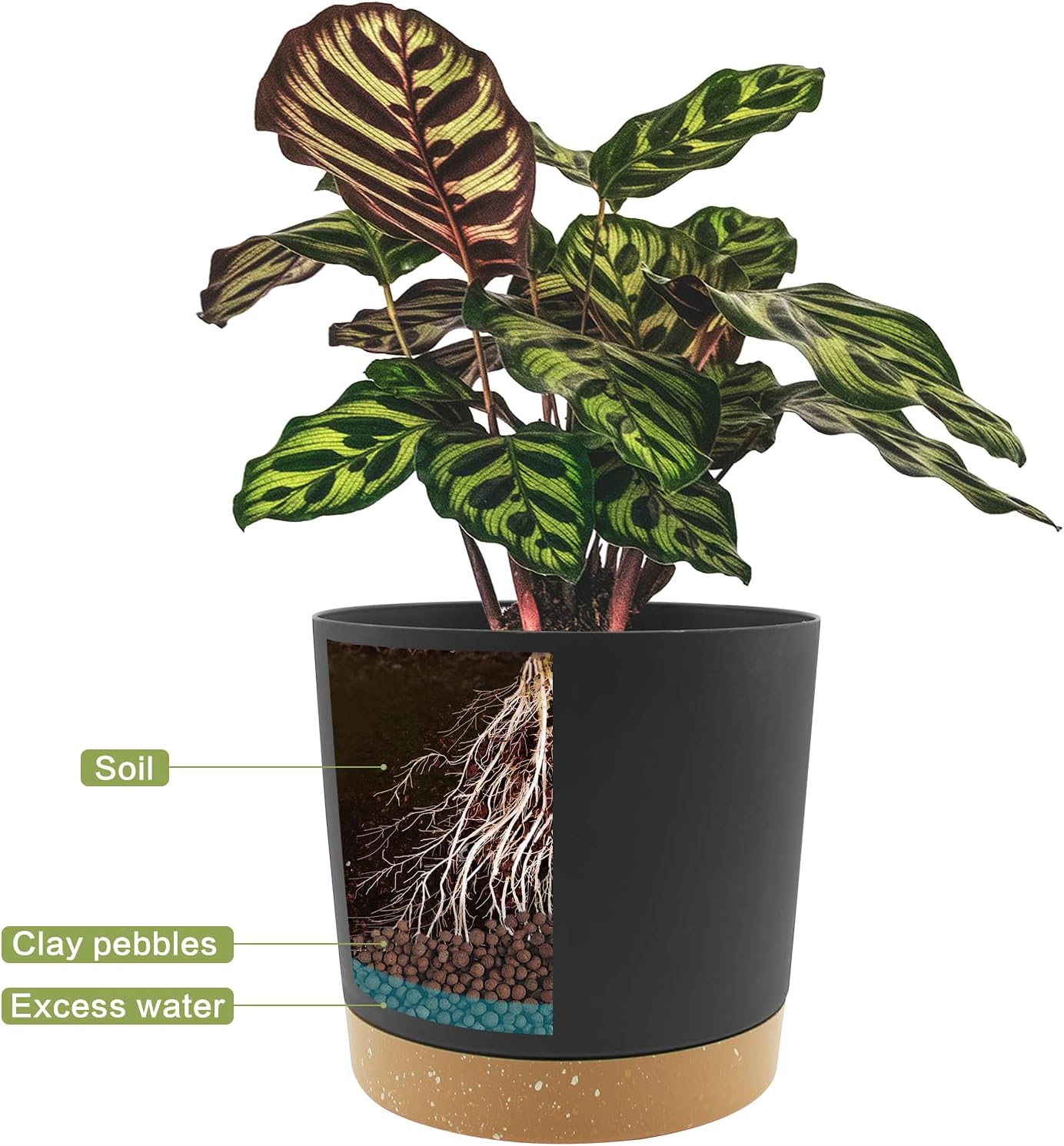 Set of 2 Decorative Planters 20.5 cm with Drainage Holes and Removable Bottom, Modern Plant Pots for Indoor and Outdoor Use (Dark Gray)