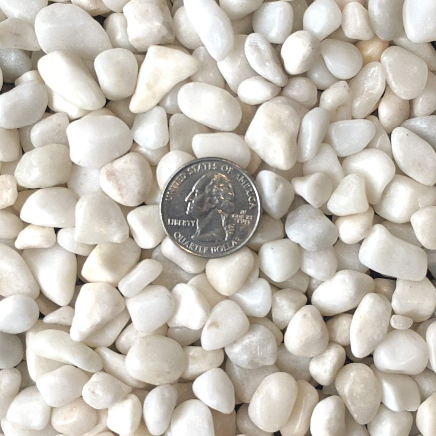 Elegant Polished White Pebbles - 2-Lb Bag of 3/8" Decorative Gravel